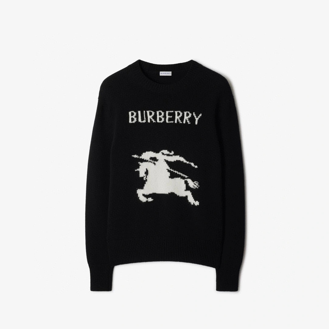 wg.luxury-- 2ur25rry oversized 2colour item:E-F361B1738-2